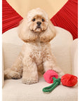 Bouquet de Roses Jouet pour Chien