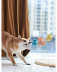 Plush Shell Dog Collar