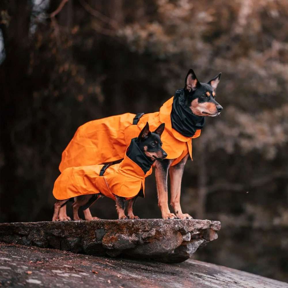 Parka Imperméable Chien Orange par PAIKKA