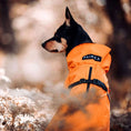 Load image into Gallery viewer, Parka Imperméable Chien Orange par PAIKKA
