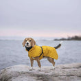 Load image into Gallery viewer, Parka Imperméable Chien Jaune par PAIKKA
