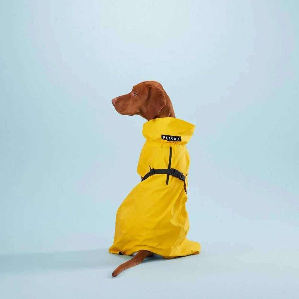 Parka Imperméable Chien Jaune par PAIKKA - Pom D'Azur