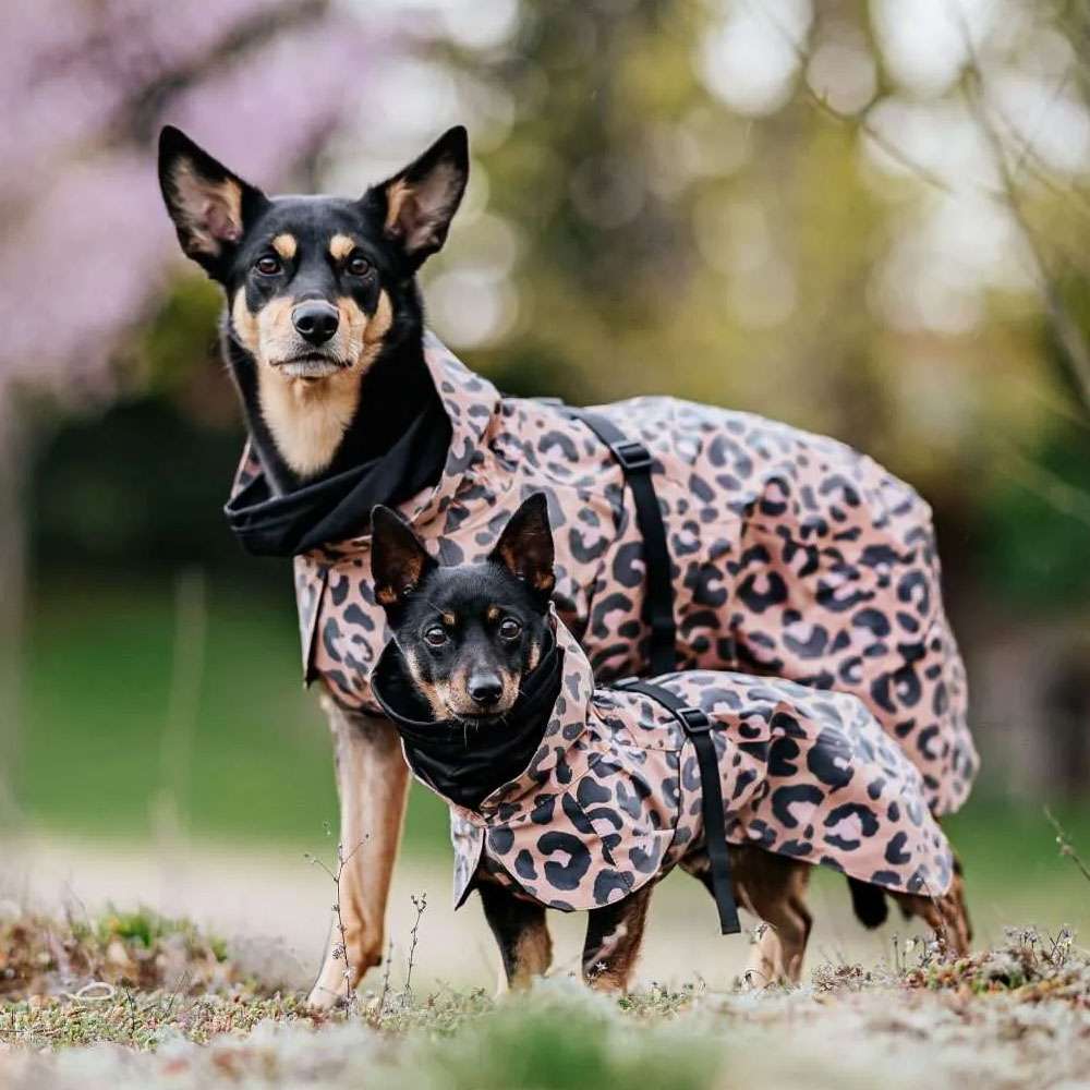 Parka Imperméable Chien Leo par PAIKKA