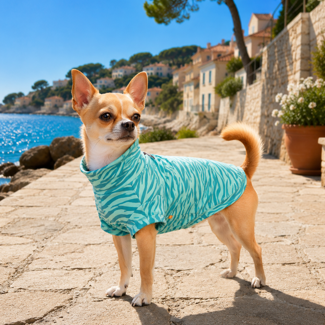 Chemise Anti-UV & Anti-Insectes pour Chien Vert Zebra UPF 50+ chien