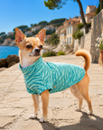 Chemise Anti-UV & Anti-Insectes pour Chien Vert Zebra UPF 50+ chien
