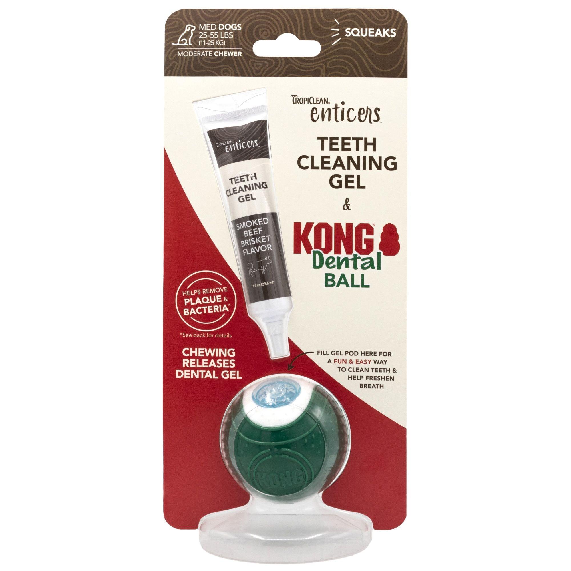 KONG Kit Dentaire Balle pour Chien - Pom D'Azur