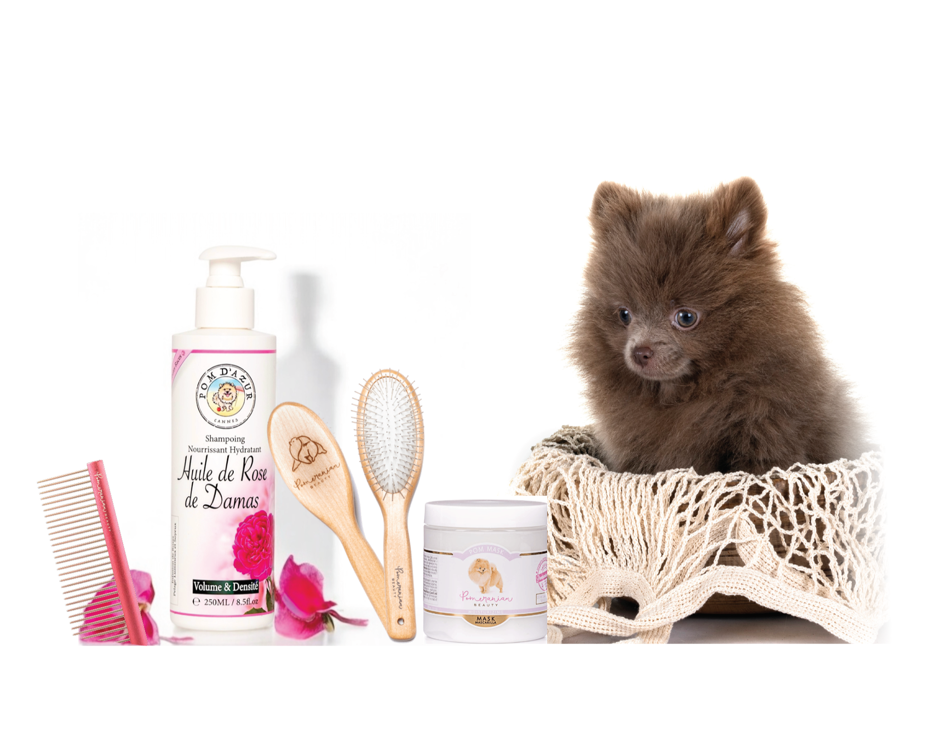 Kit Toilettage Chiot Spitz