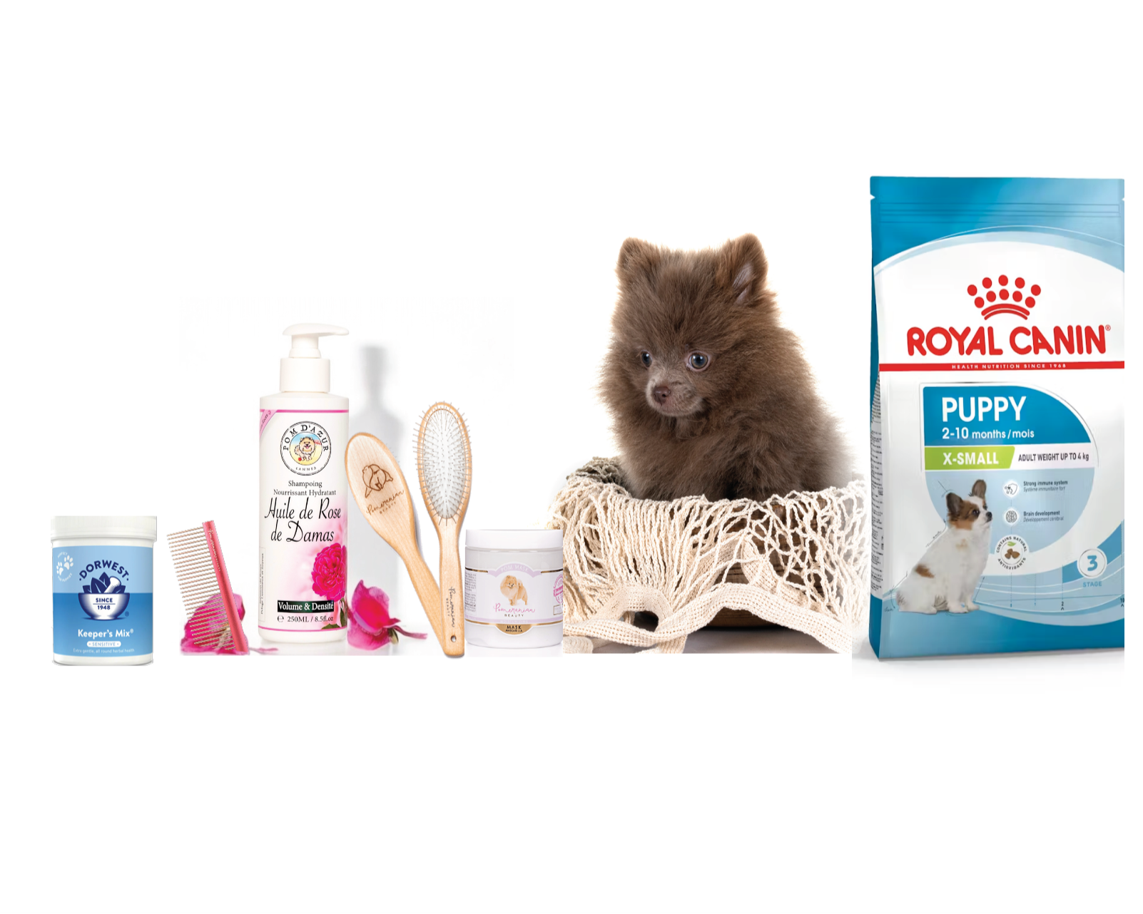 Kit complet pour chiot 