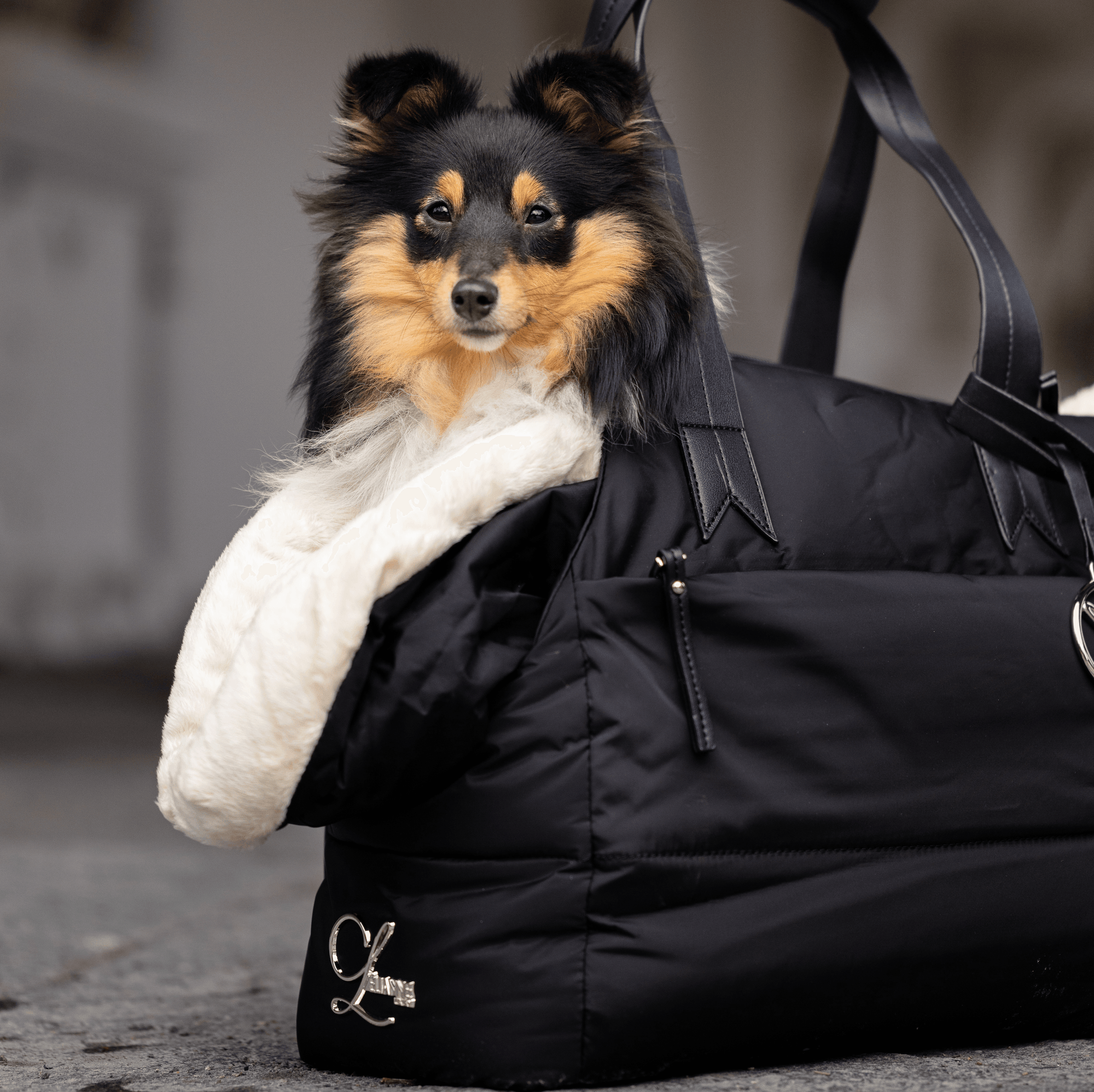 L'Elianne Sac de Luxe Pour Chien Noir - Pom D'Azur