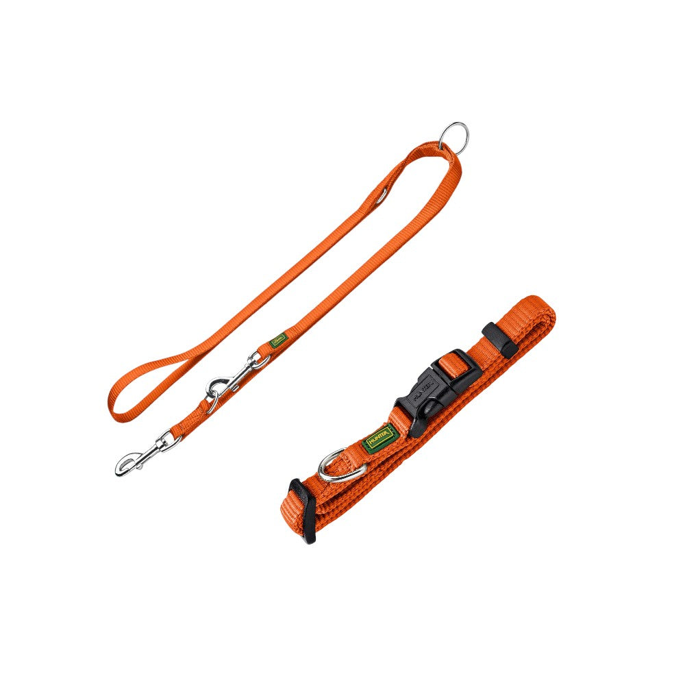 Laisse et Collier réglable pour chien Hunter