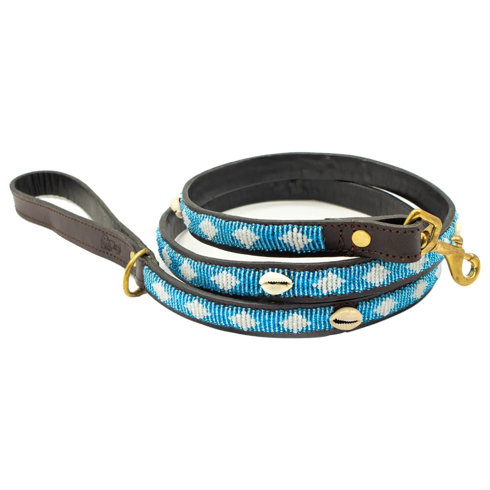 Laisse pour Chien Blue Lagon Shell