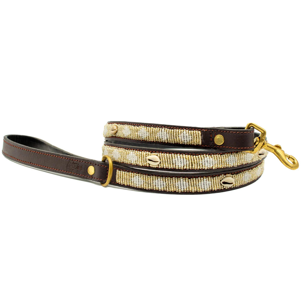 Laisse pour Chien Golden Shell