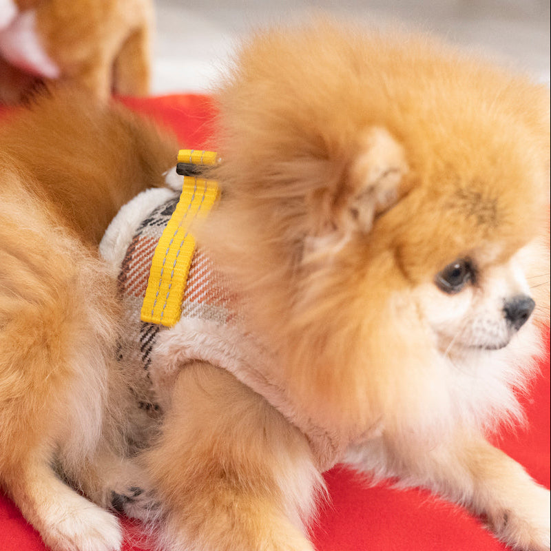 Manteau Harnais pour Chien YETI Automne par Pom d'Azur lifestye