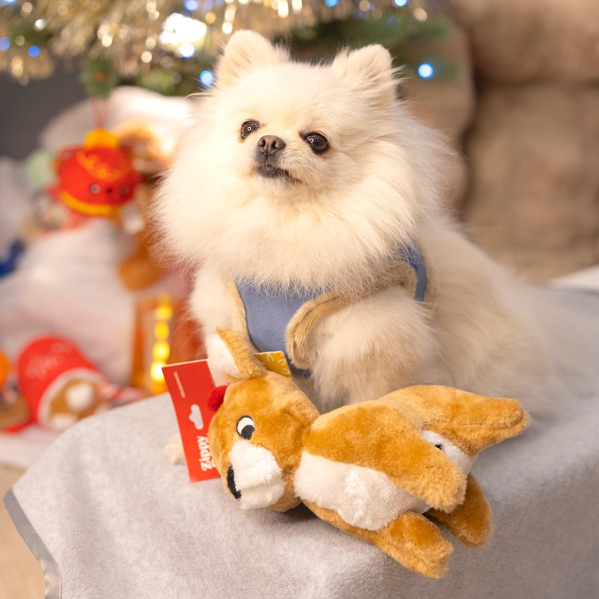 Manteau Harnais pour Chien YETI Bleu par Pom d'Azur front 2