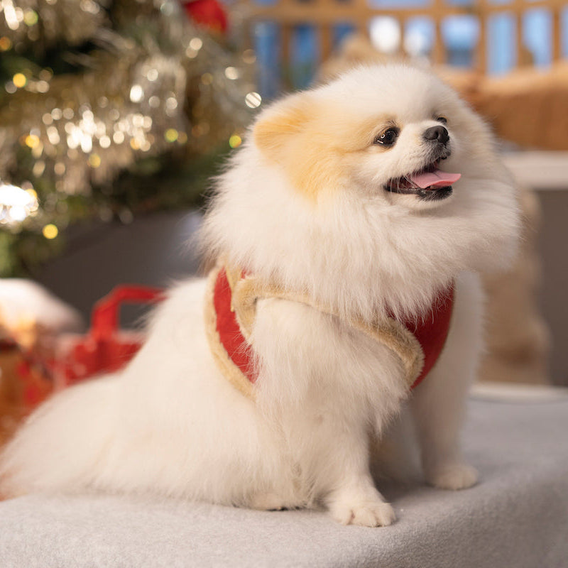 Manteau Harnais pour Chien YETI Rouge par Pom d'Azur Noel