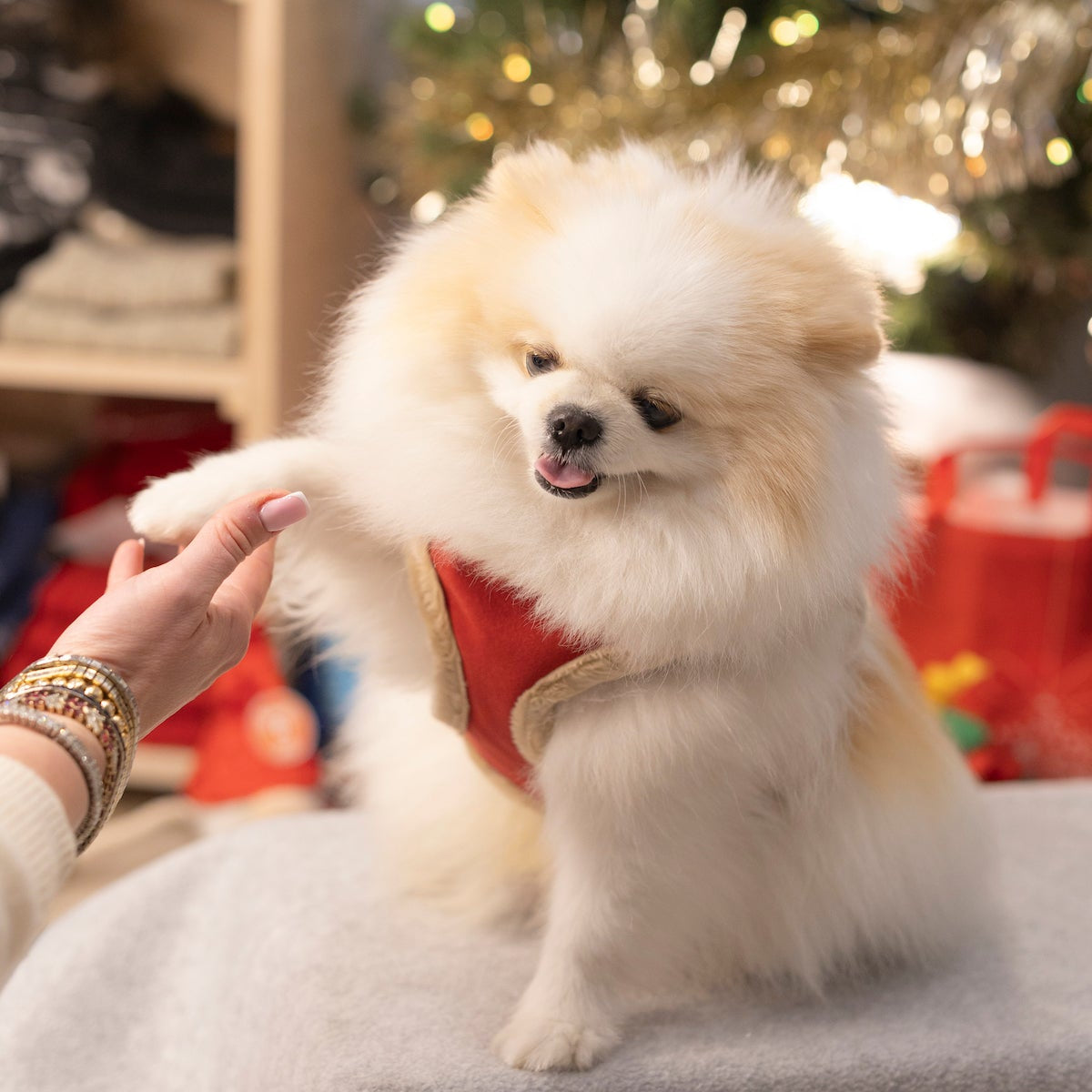 Manteau Harnais pour Chien YETI Rouge par Pom d'Azur Noel 3