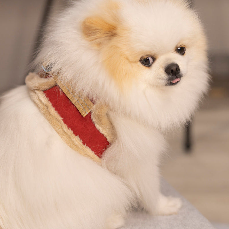 Manteau Harnais pour Chien YETI Rouge par Pom d'Azur Noel 4