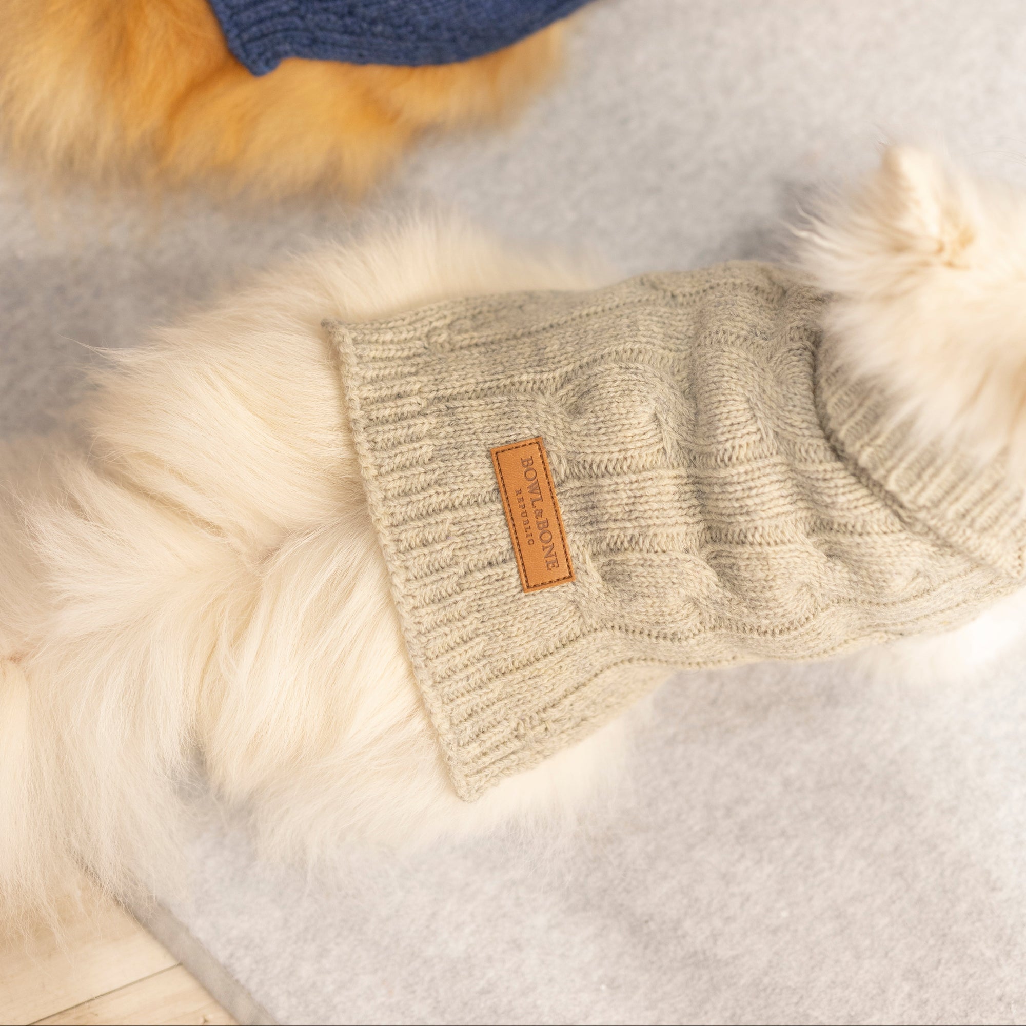 Pull Pour Chien ASPEN Ecru par Bowl & Bone lifestyle