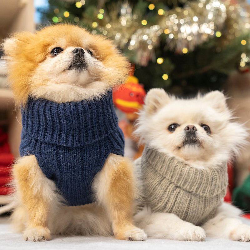 Pull Pour Chien ASPEN SNOWFLAKE Navy par Bowl & Bone lifestyle
