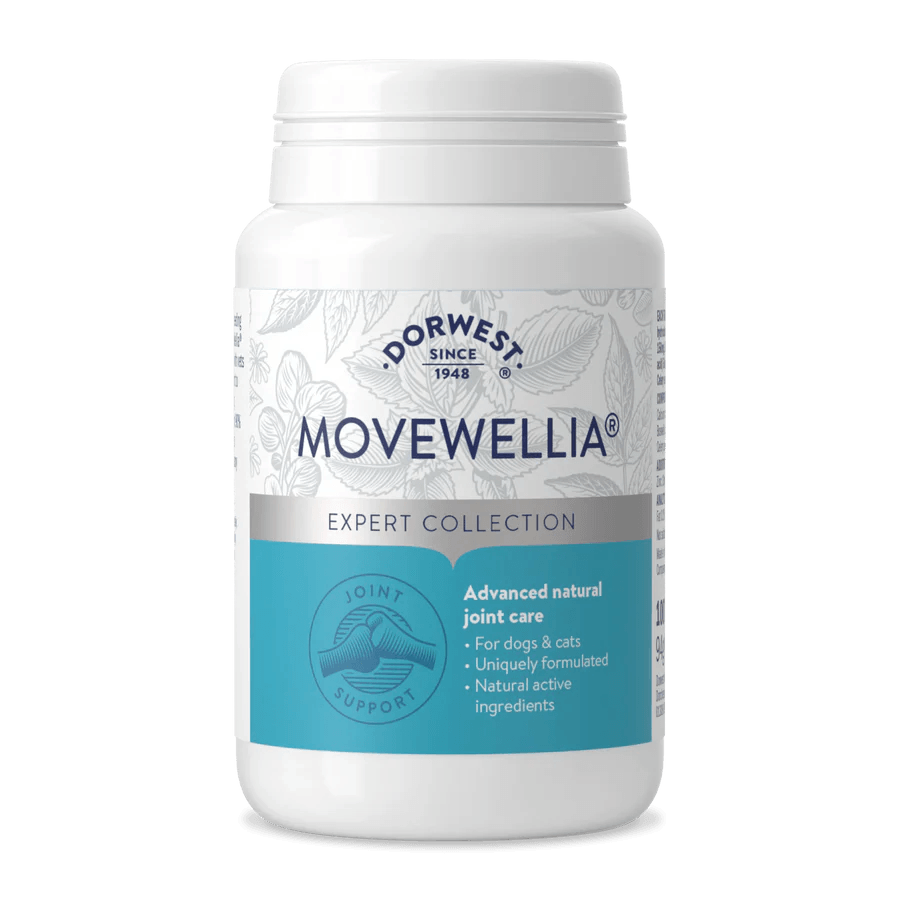 MoveWellia Dorwest Supplement Joints pour Chiens - Pom D'Azur