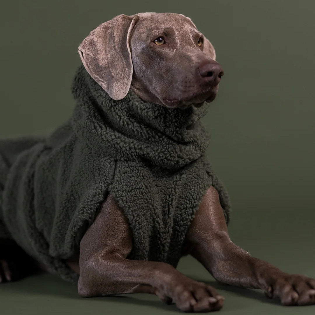 Veste pour Chien 'Sherpa Olive' par Paikka