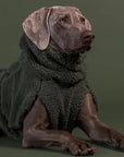 Veste pour Chien 'Sherpa Olive' par Paikka