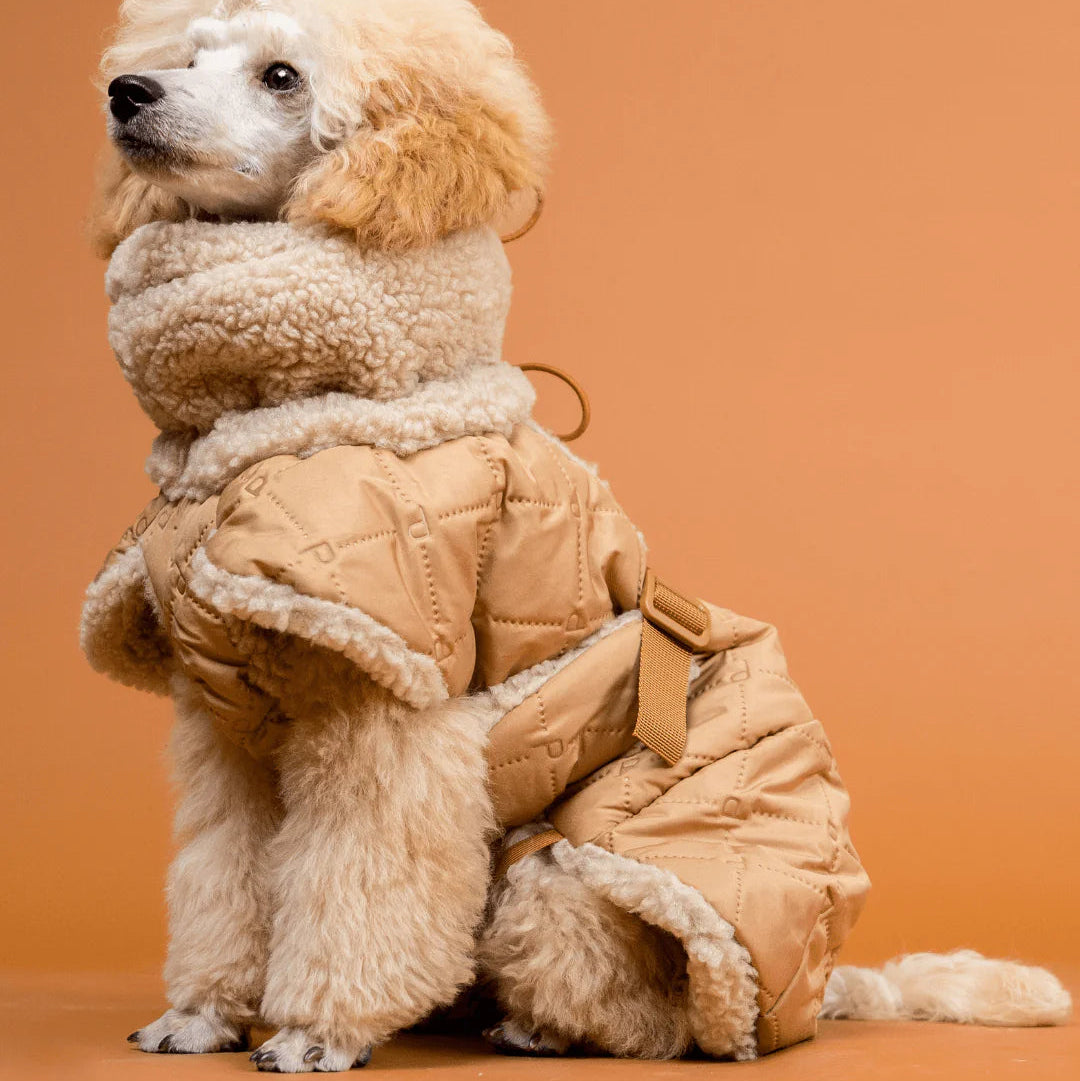 Manteau de Pluie pour Chien &#39;Sherpa Beige&#39; par Paikka