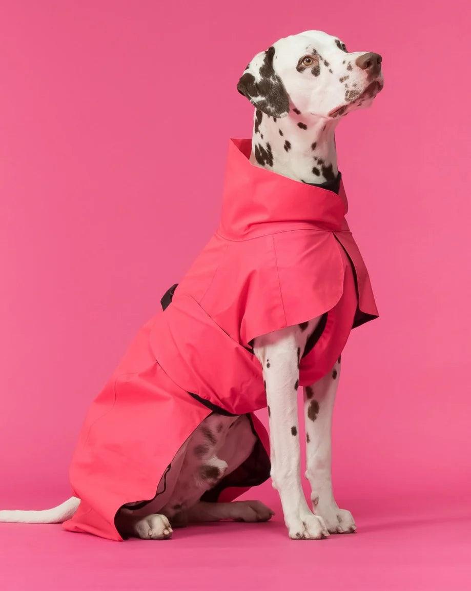 Parka Imperméable Chien Rose par PAIKKA - Pom D'Azur