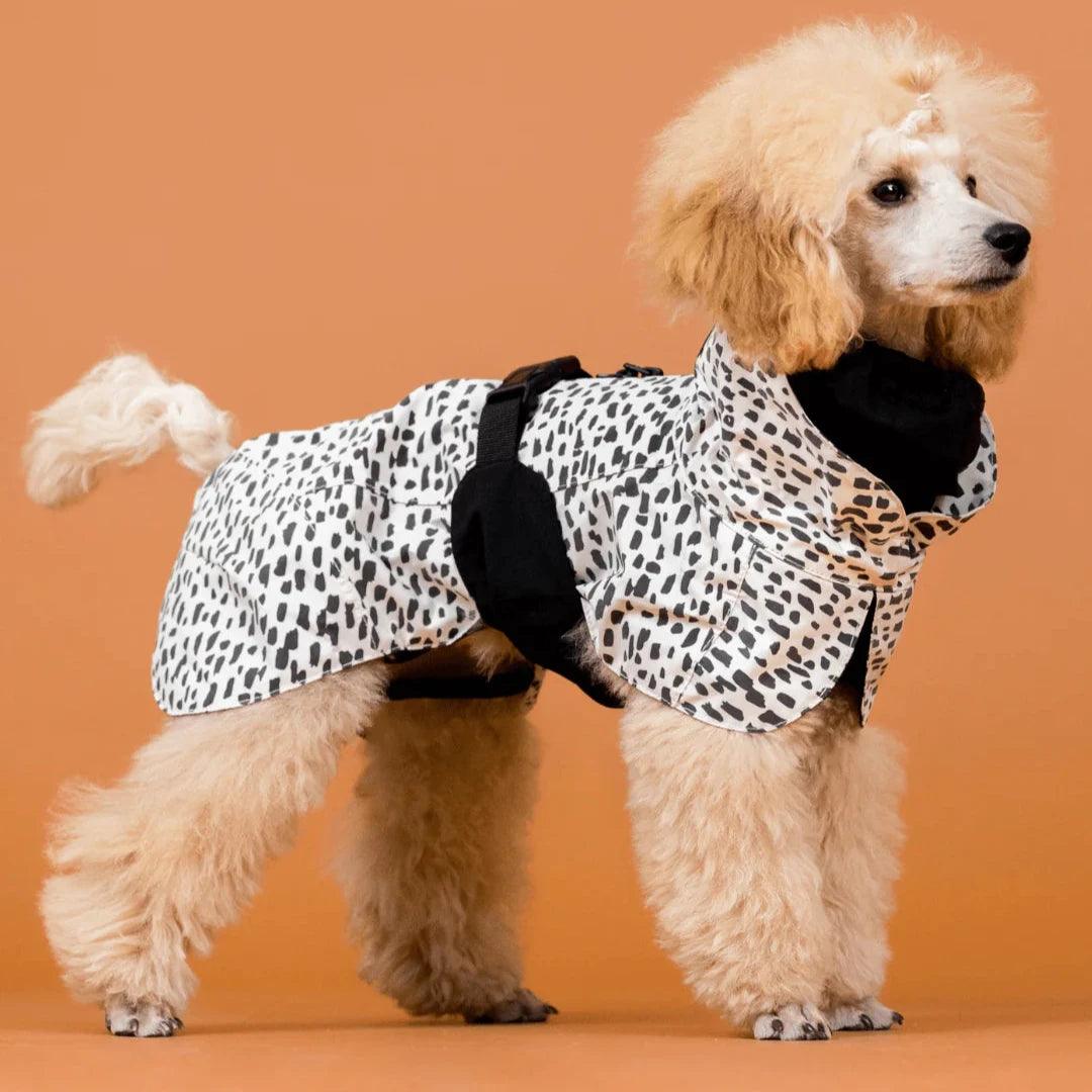 Parka Imperméable Chien Leo par PAIKKA - Pom D&#39;Azur