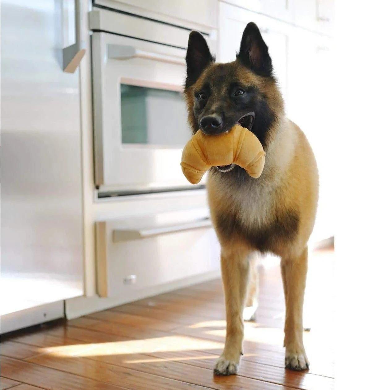 Croissant Jouet pour Chien P.L.A.Y - Pom D'Azur