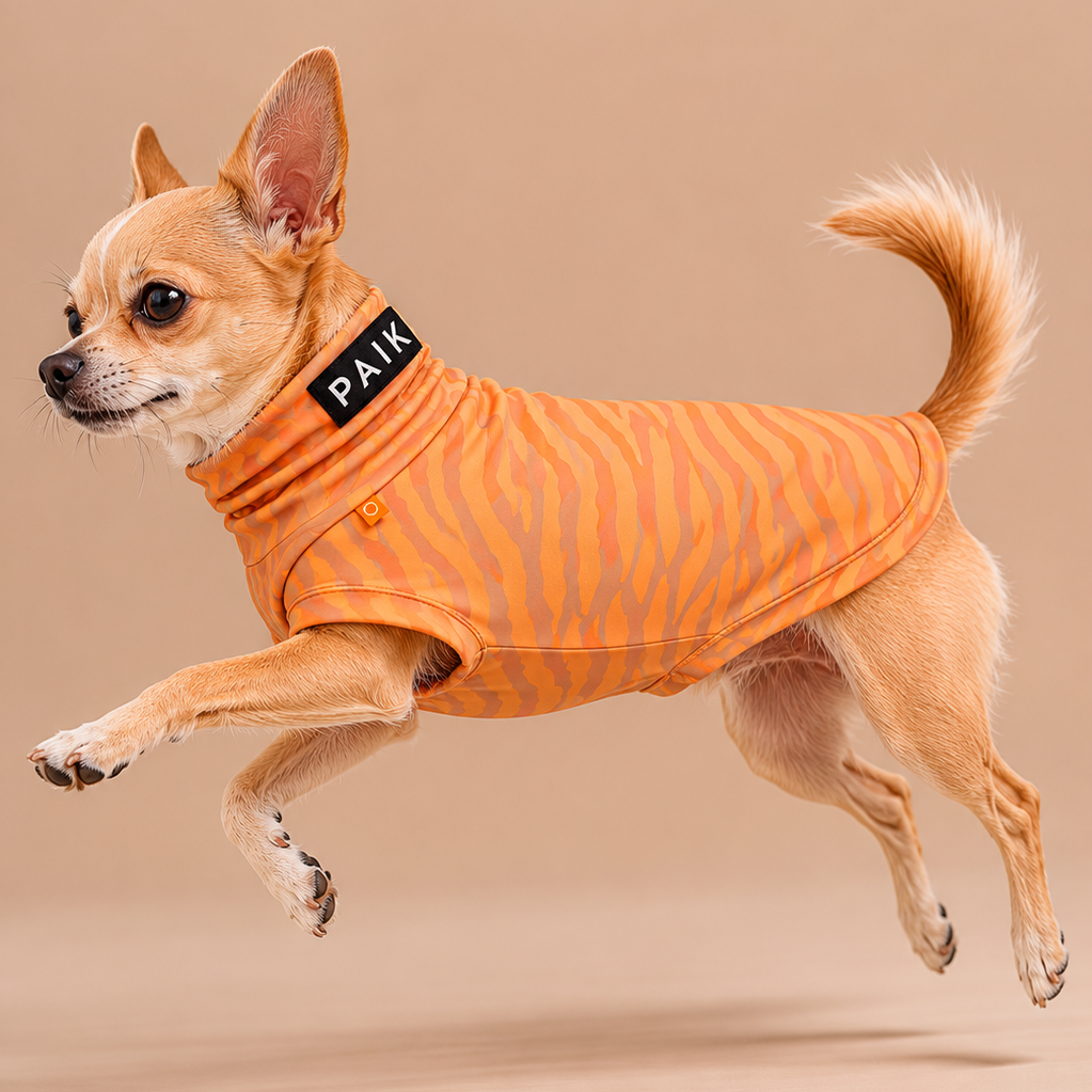 Veste anti UV et insectes pour chien