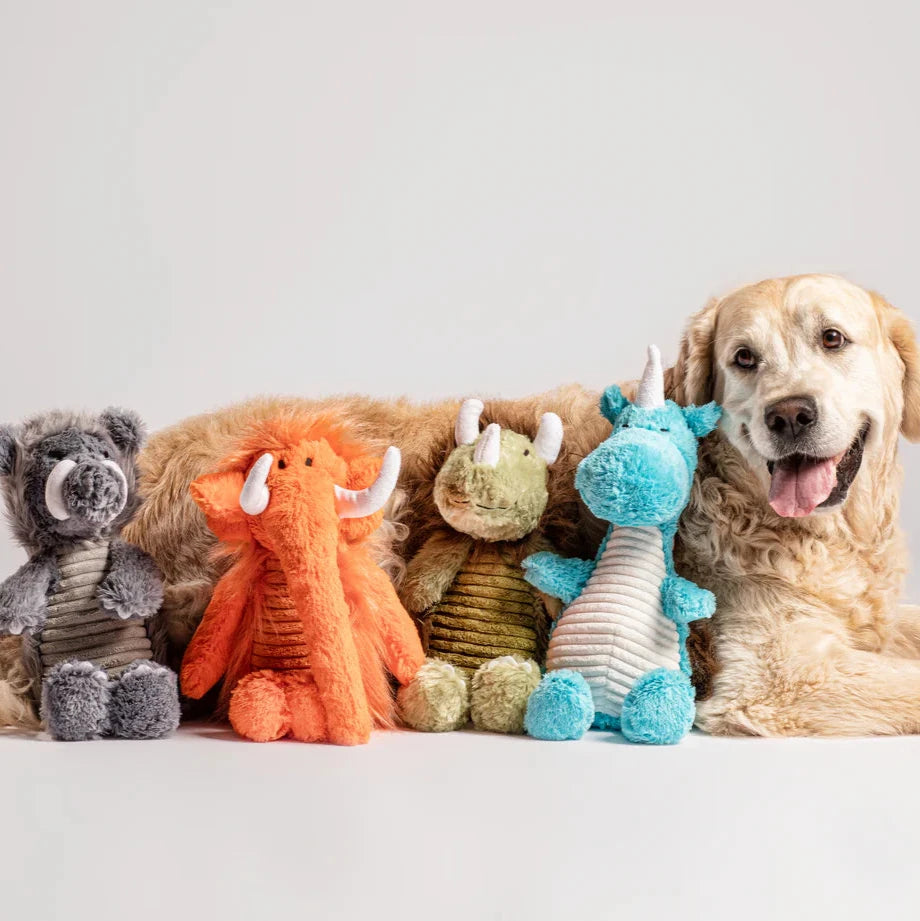 Peluche et Jouet pour chien