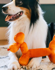 Peluche pour Chien Ballon Saucisse