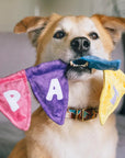 Peluche pour Chien Banderole d'anniversaire 'Party'
