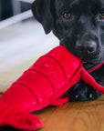 Peluche pour Chien Marin le Homard  'Collection Croisette'