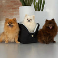 Load image into Gallery viewer, Sac de Transport pour chien Luxe et Comfort Nuage par SohoPoms
