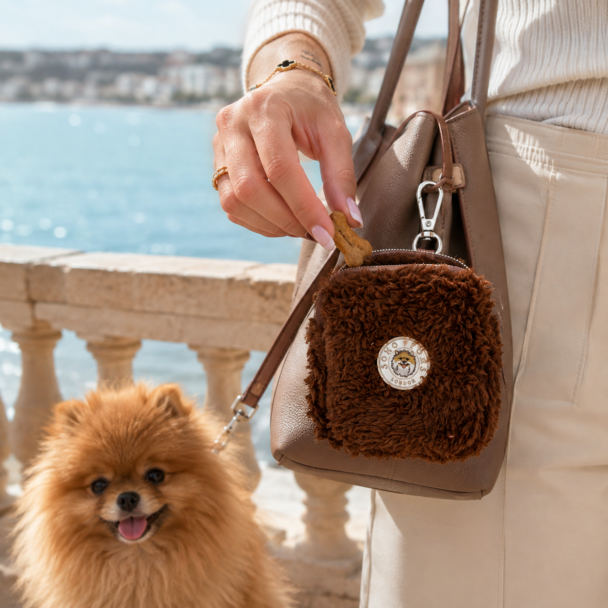 Pochette à Friandises pour Chien Teddy – 3 Coloris Lifestyle
