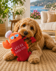 Jouet pour Chien Chef Homard 'Collection Croisette'