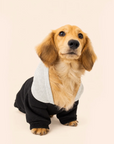 Sweat à Capuche pour Chien Noir & Gris – Élégance Sportive Sohopoms