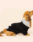 Sweat à Capuche pour Chien Noir & Gris – Élégance Sportive Sohopoms