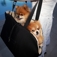 Load image into Gallery viewer, Sac de Transport pour chien Luxe et Comfort Beige par SohoPoms
