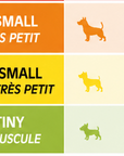 Stivali multicolori per cani PAWZ