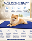 Tapis Rafraîchissant pour Chien Gel Auto-Rafraîchissant Petits Chiens m