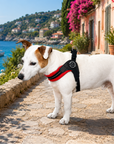 Harnais pour chien Rouge Mesh Tre Ponti lifestyle