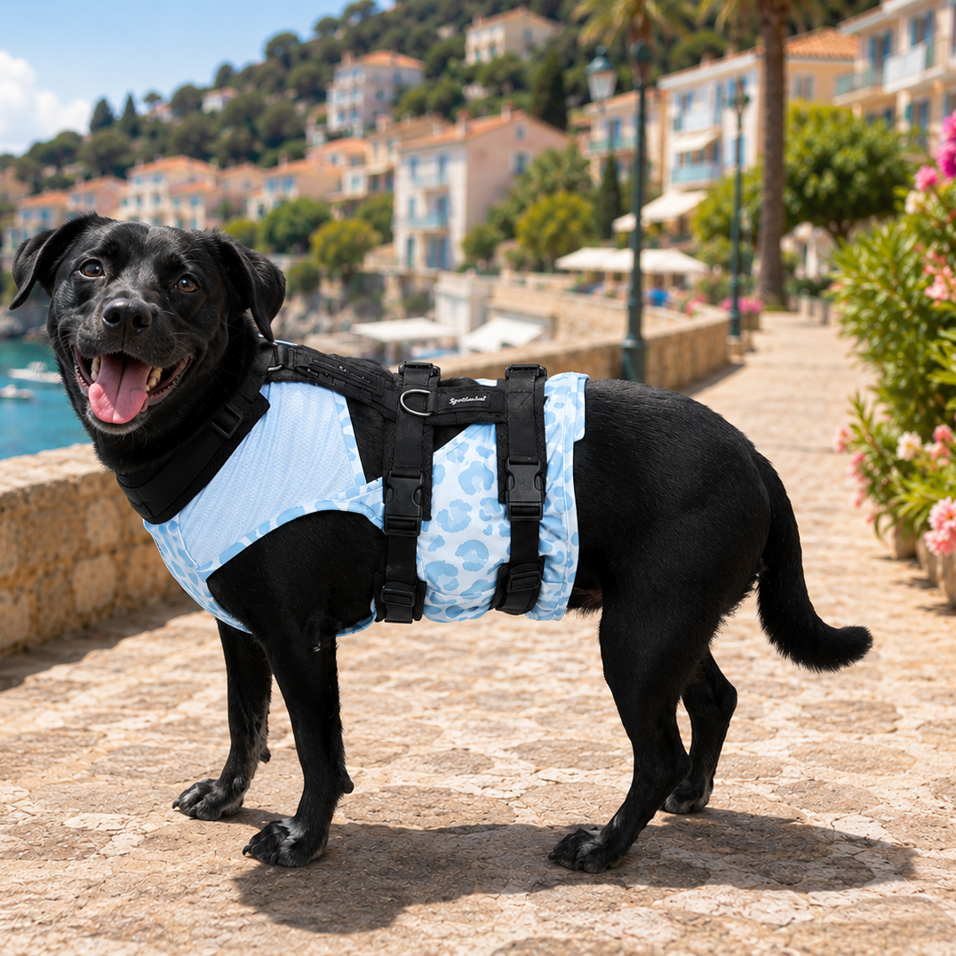 Gilet Fraîcheur Riviera Bleu pour chien par PAIKKA lifestyle