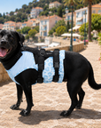 Gilet Fraîcheur Riviera Bleu pour chien par PAIKKA lifestyle