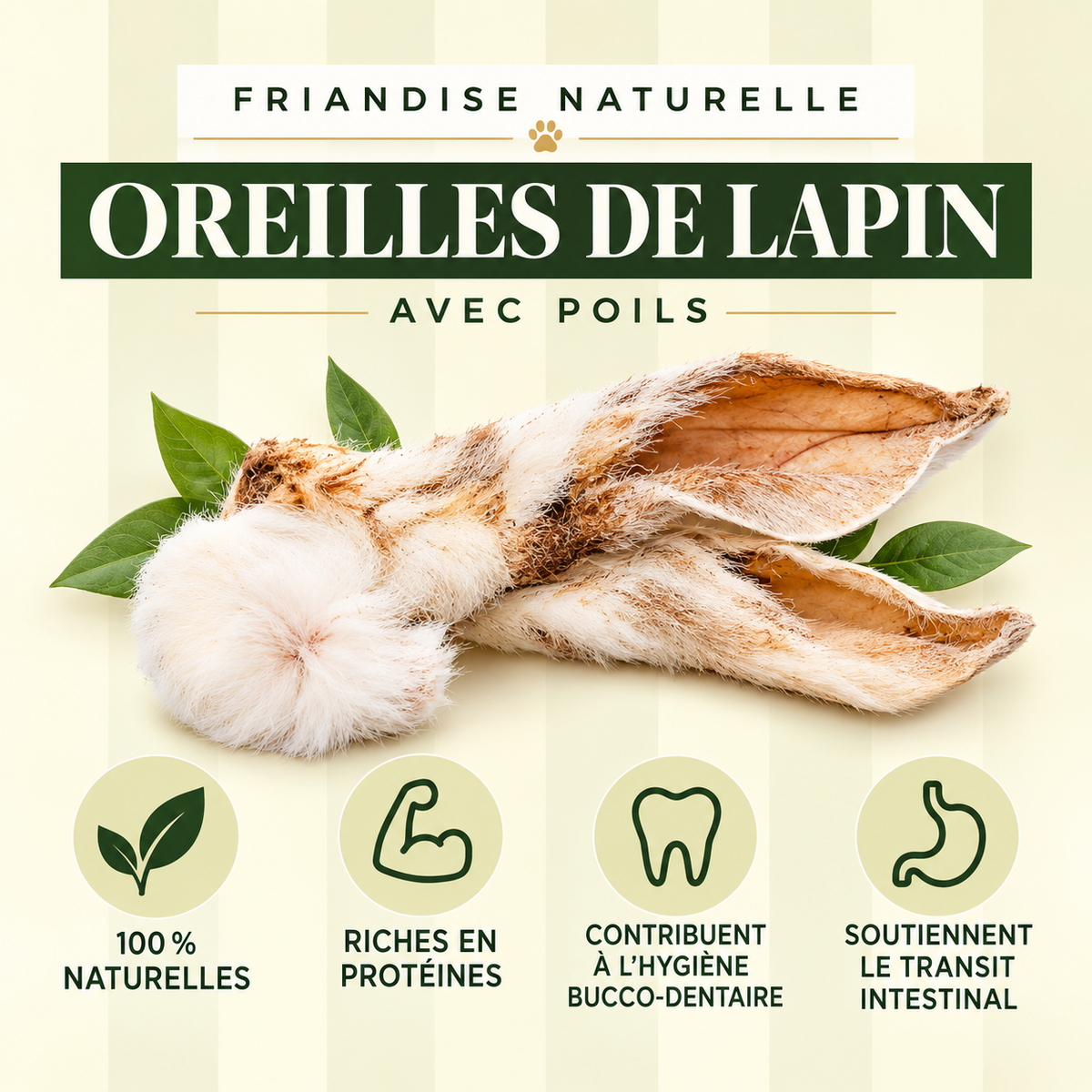 Oreilles de Lapin avec Poils - Friandises Naturelles à Mâcher pour Chien Pom d'Azur