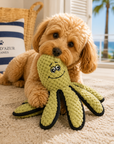 Le Poulpe Cannois – Jouet en Peluche pour Chien Pom d'Azur