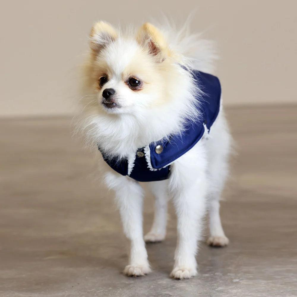 Pull Imperméable pour chien &#39;Teddy&#39; multicolore par SohoPoms - Pom D&#39;Azur
