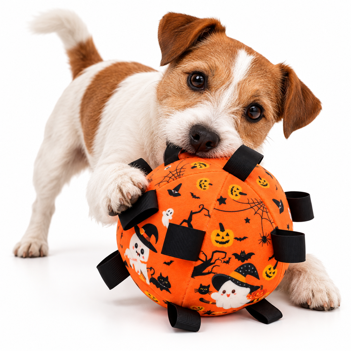 Balle d’Activité Halloween pour Chien 15cm – Peluche à Rubans